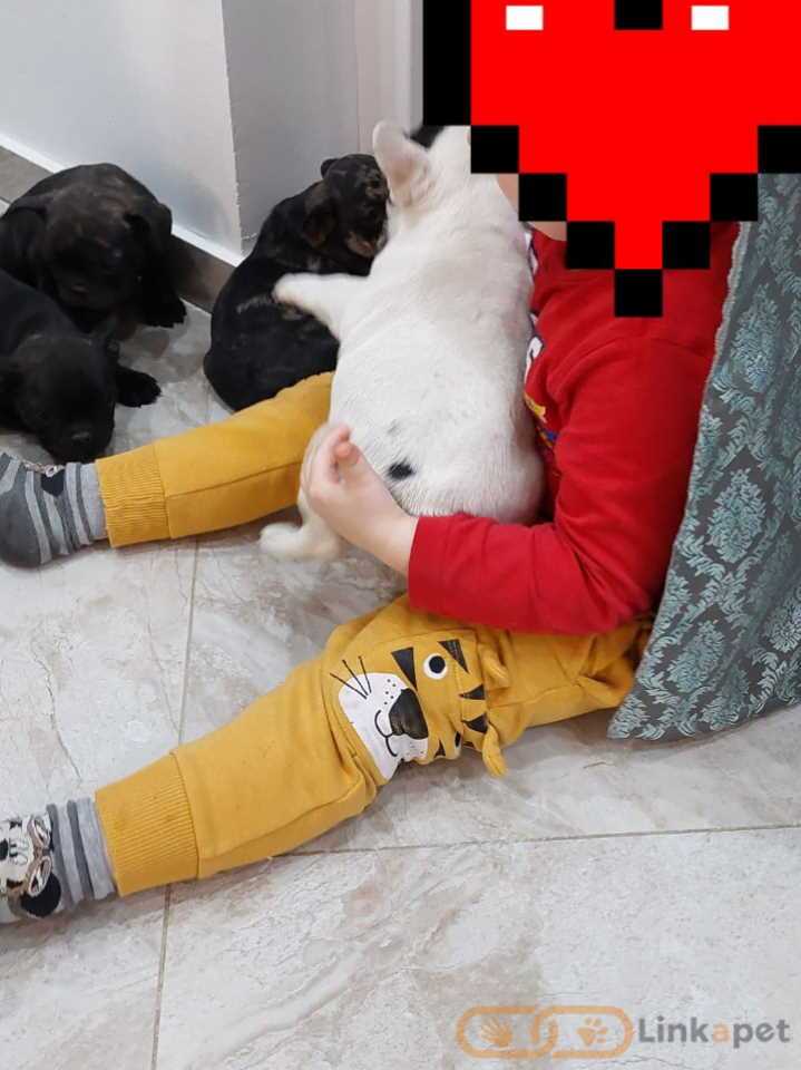 1668024393