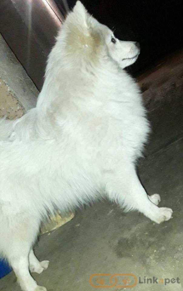 1668509165