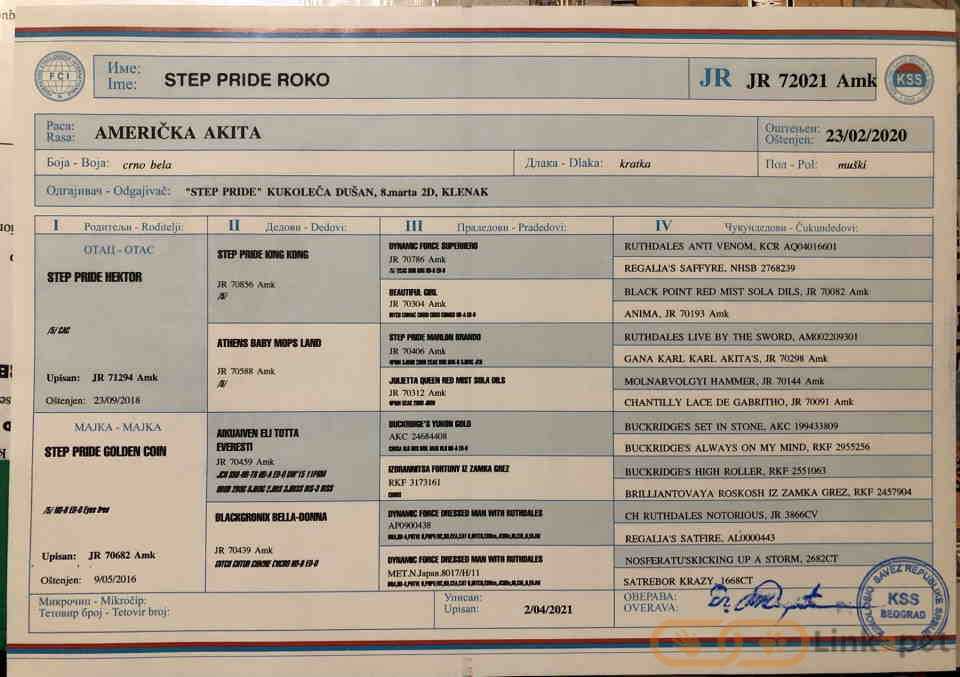 1674164666
