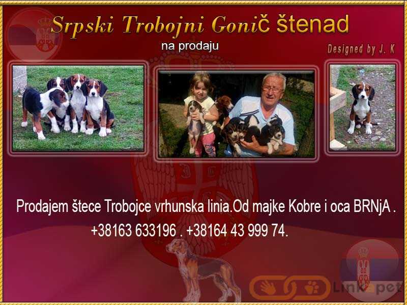 1681846871