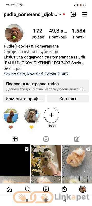 1682801345