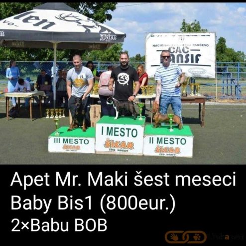 1685641644