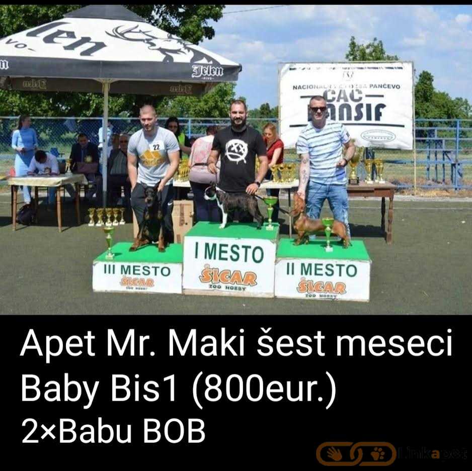 1685641644