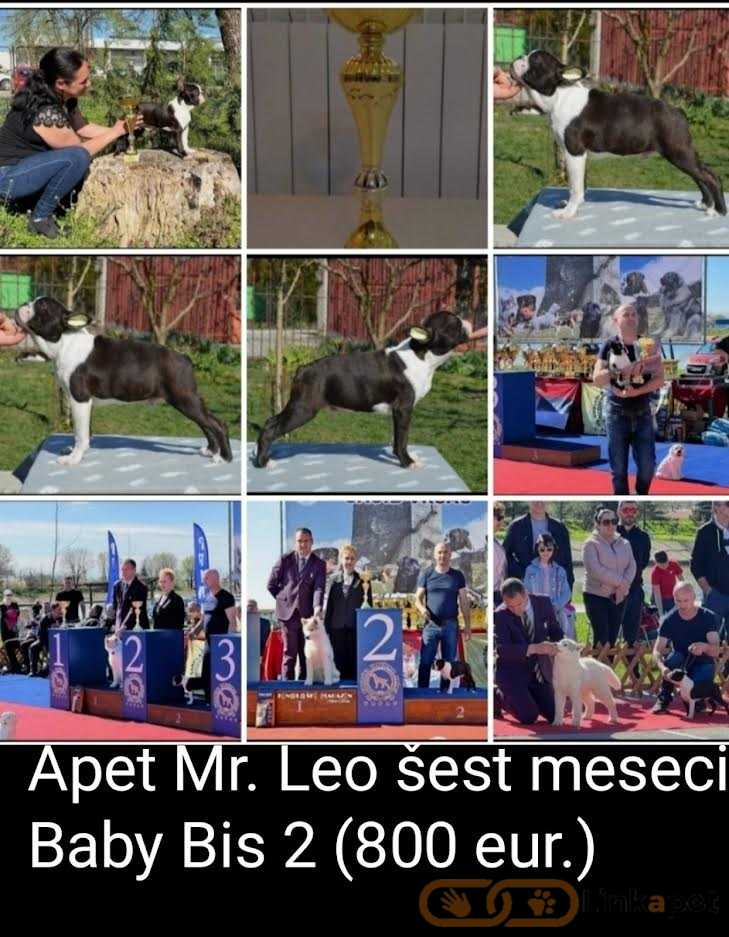 1685641646