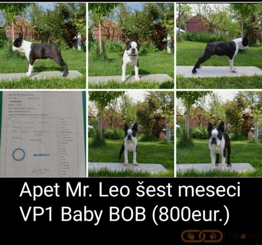 1685641650