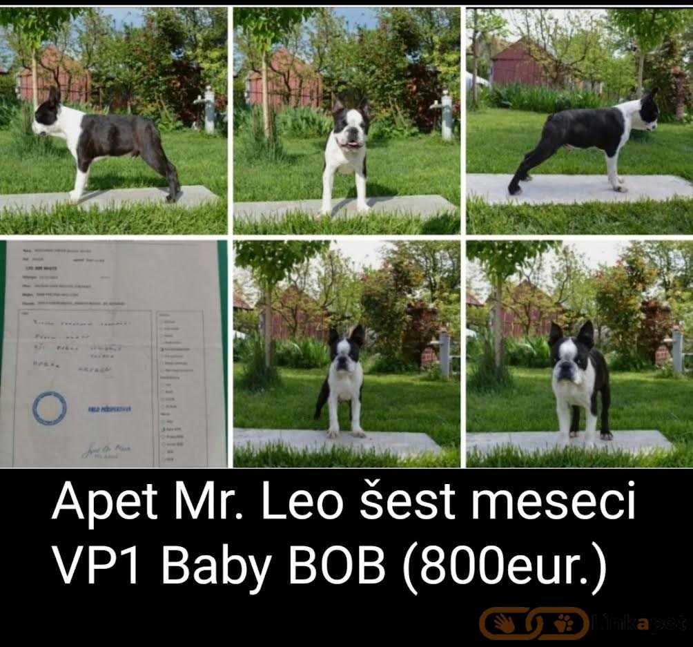 1685641650