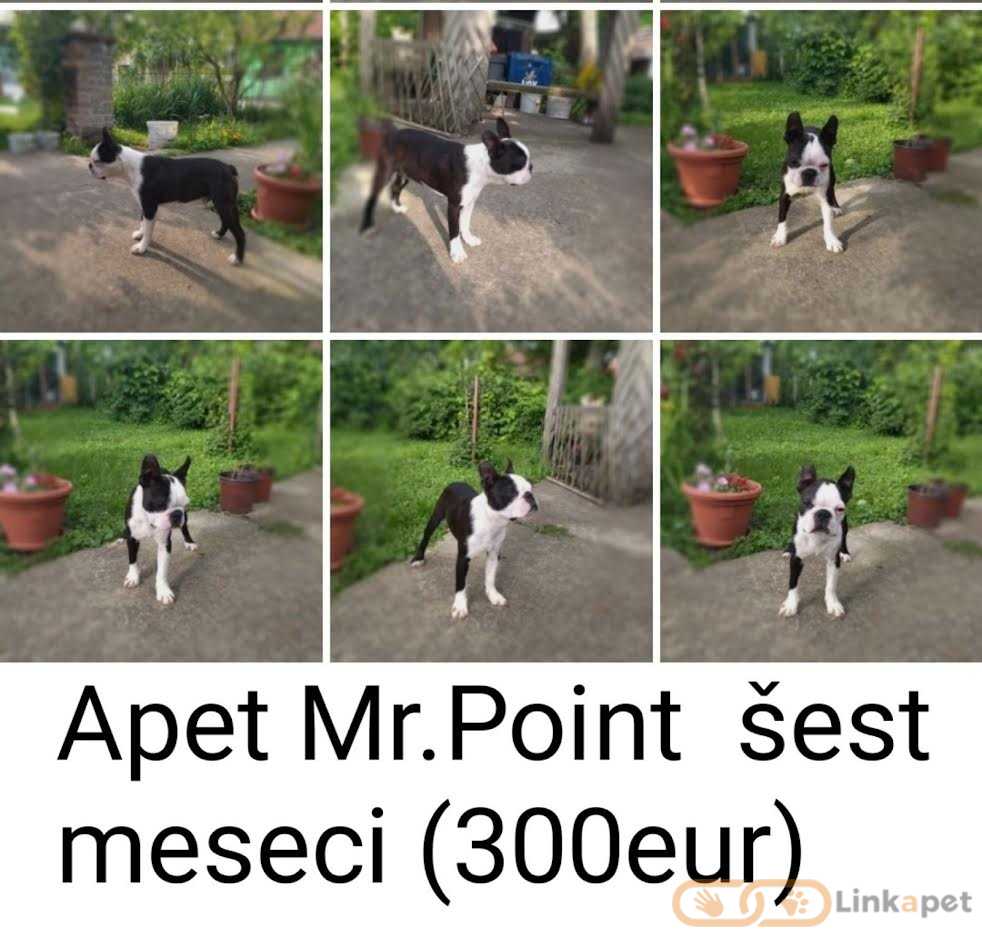 1685641656