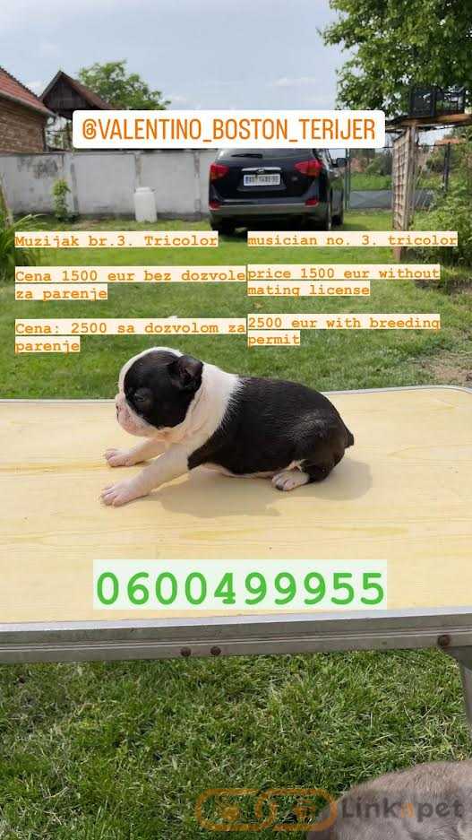 1686647011