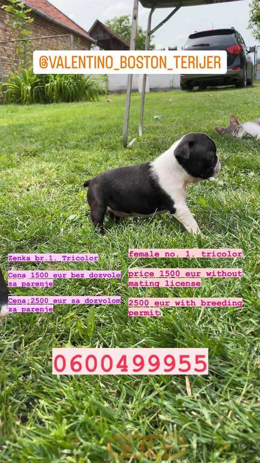 1686647015