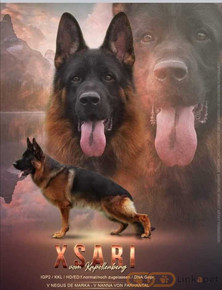 1699638712