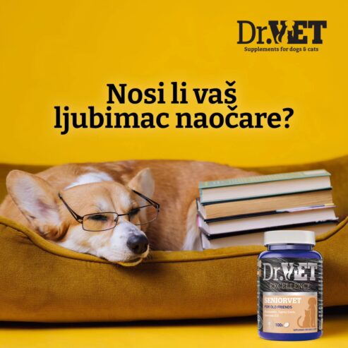 04d87d14fe57a25d811423bba27e5e73-1