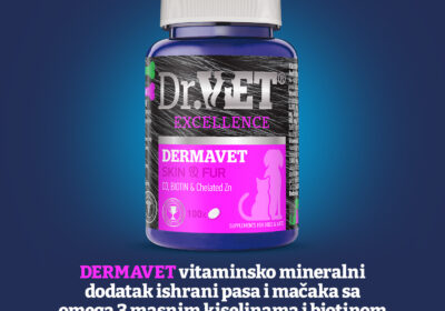 6cffc8bdc8854f30b466a9c39340965d-1