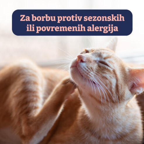 d068bcfb682800d100129fee7581df91-1