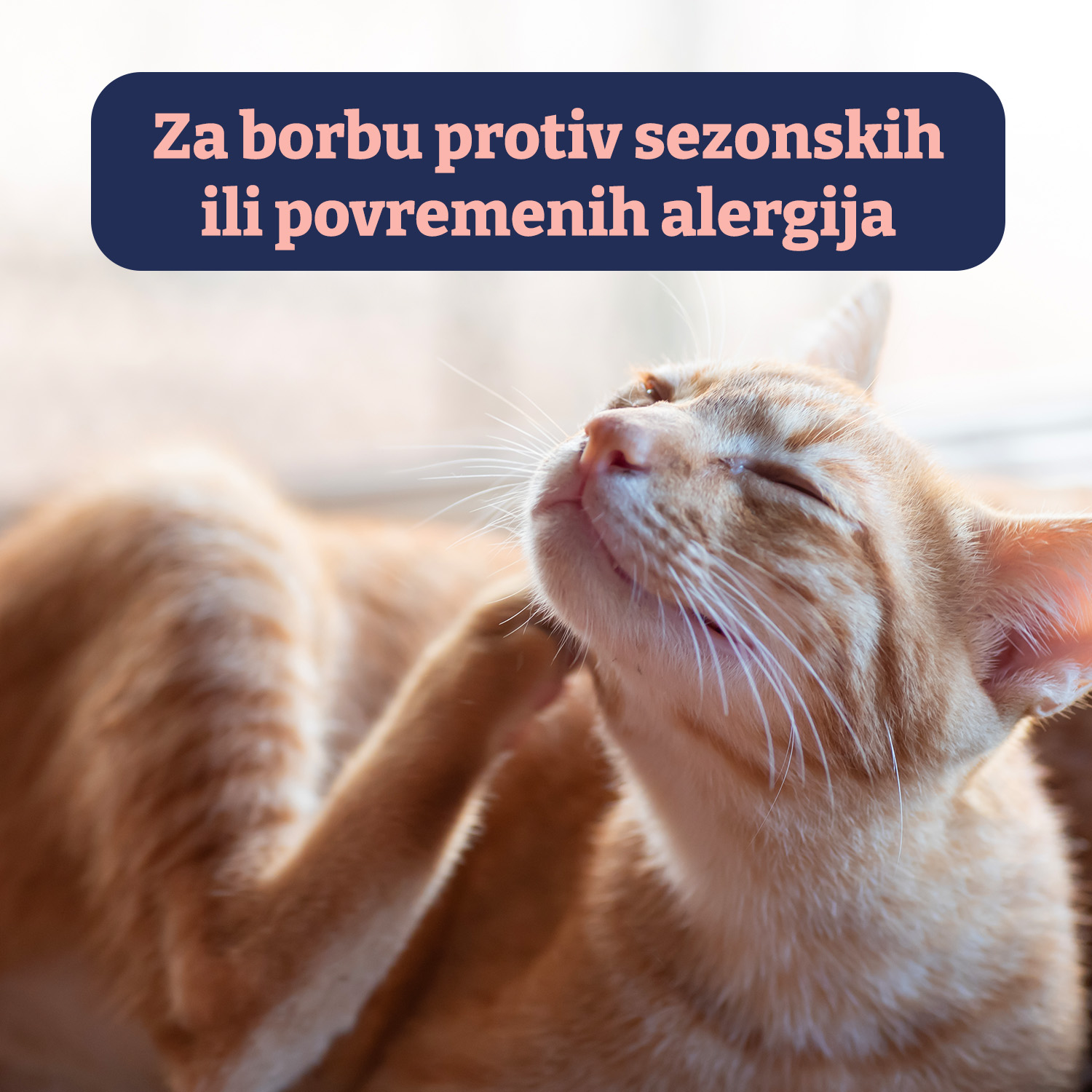 d068bcfb682800d100129fee7581df91-1