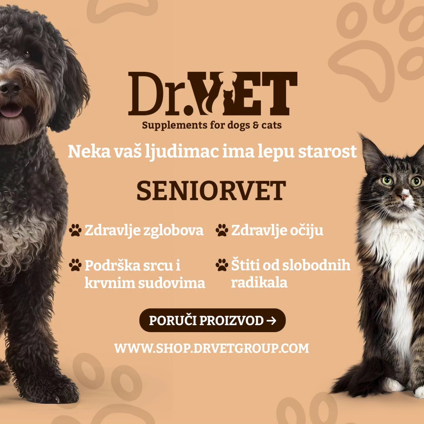 d576305d5760ba3b000bbd00da6cd481-1