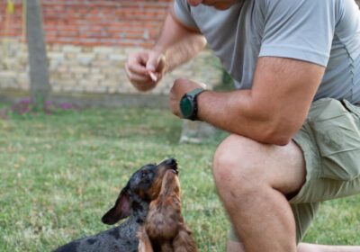 0488b00556e6393535c7cd031a9ace0a-3