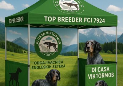 1de8fac76eb039104f634033345545bc-5