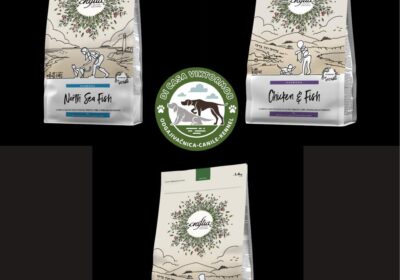 6a0d84df786a5e755c9aaf12ee656e89-1