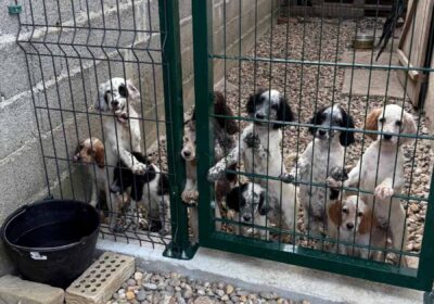 7ed80e46b78a8939d5eac28a10753cfc-1