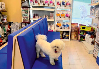 2af75a6645286abc6459ddfbb21786c2