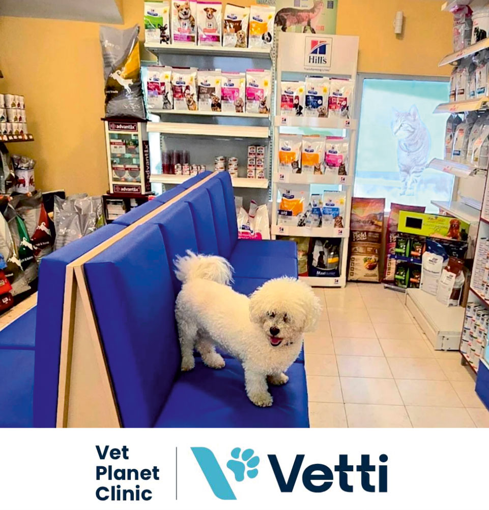 2af75a6645286abc6459ddfbb21786c2