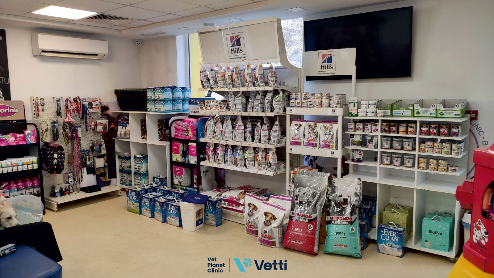 3019a9ae9019aed818157c369f052258