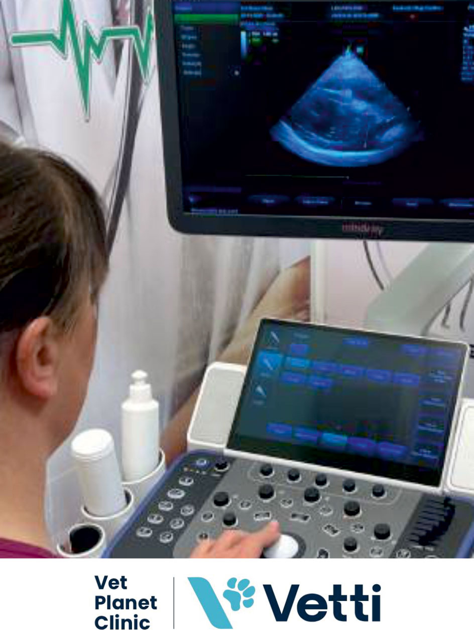 576576591461f6b1ada740f3bd7f5bed