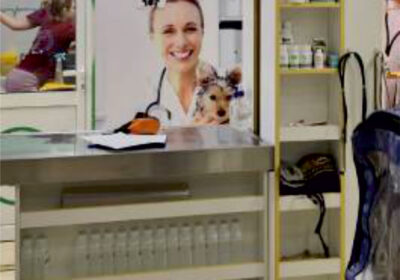 690dc797d904eada01ad0981d899f194-1