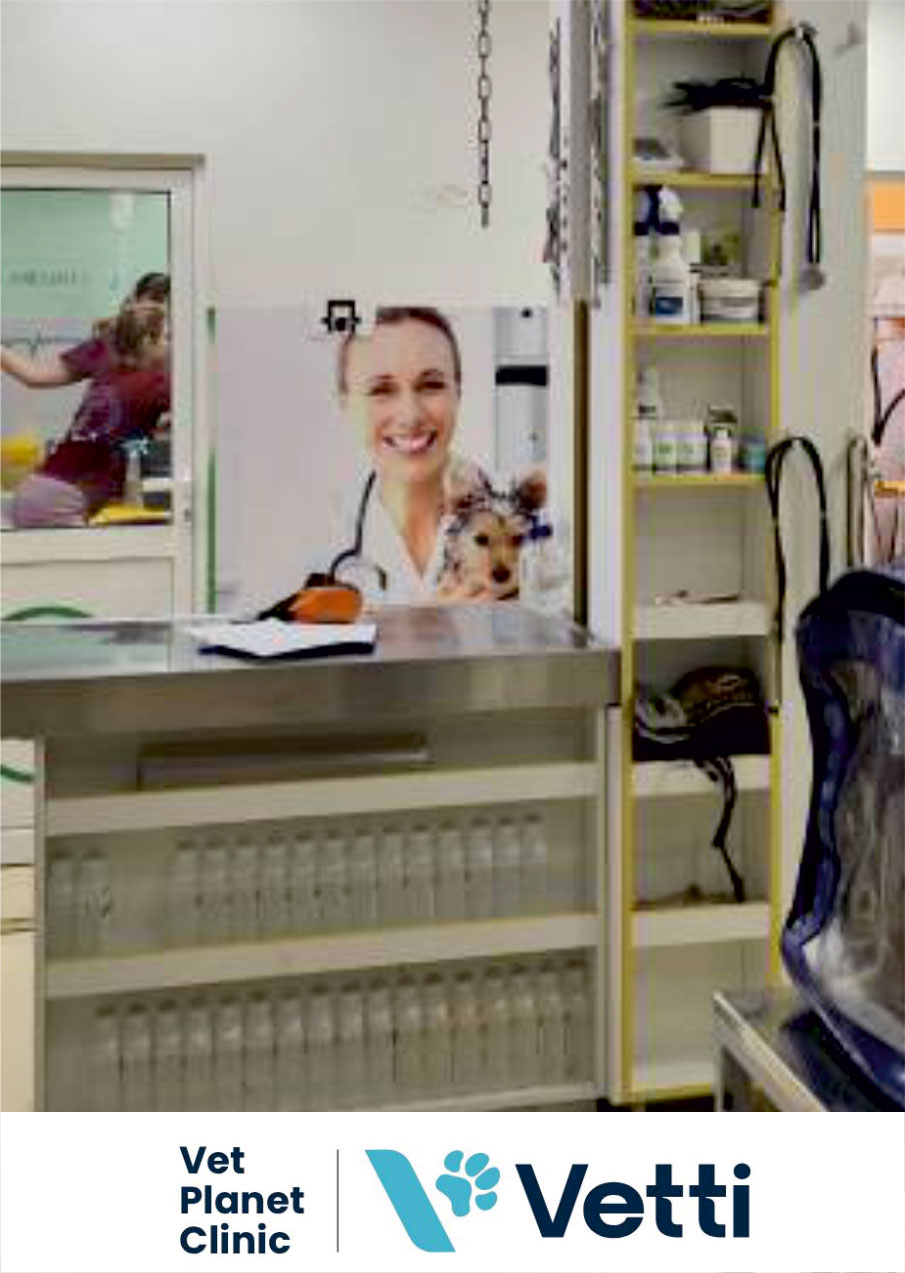 690dc797d904eada01ad0981d899f194-1