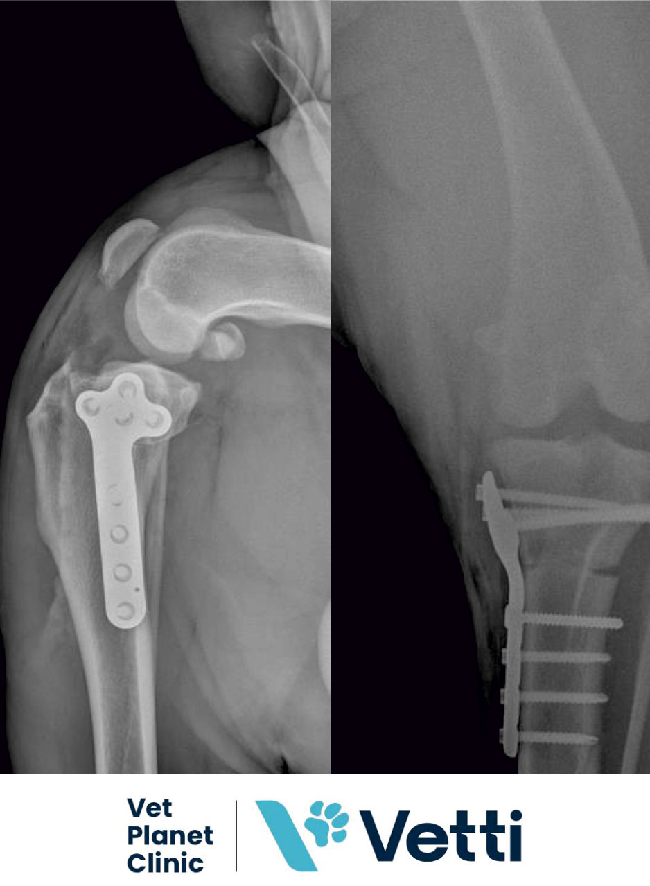 a9572eaf54c1ac55fe48a9fa31319933