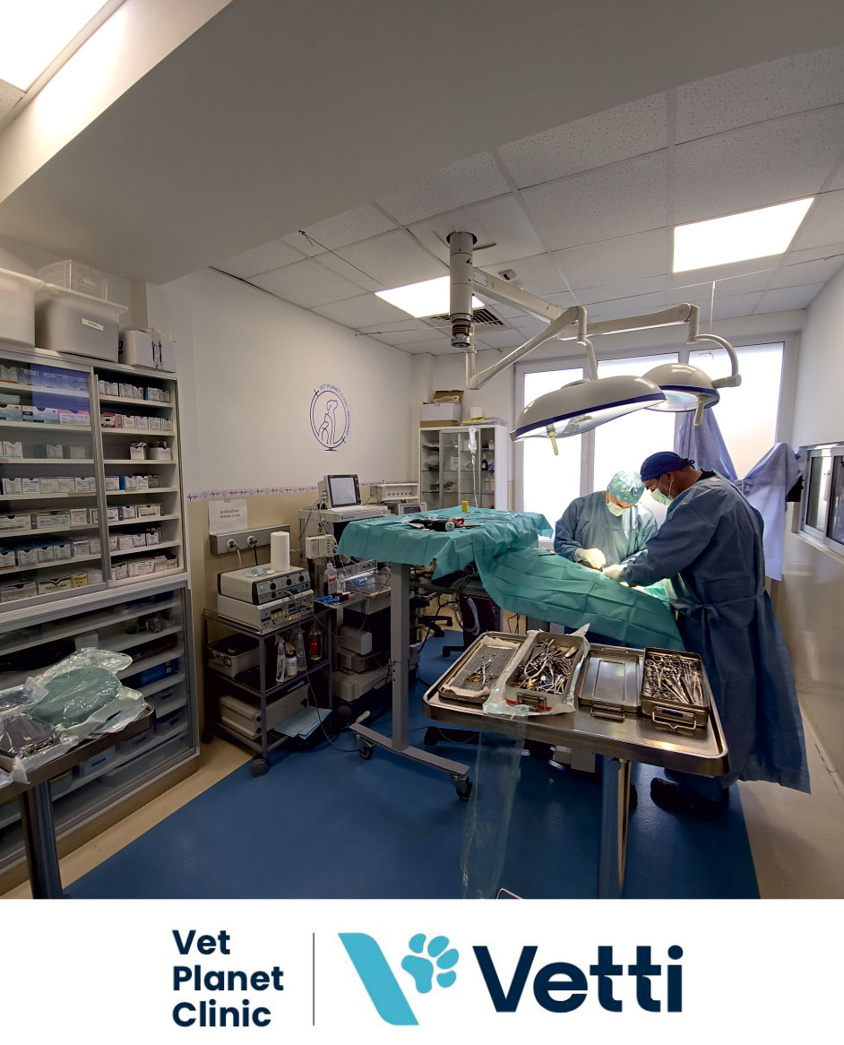 bd770d66f4f2d04c9a4b56bfc3b3e69d