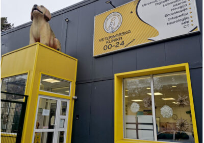 ec8804aeec8b8346cbc13830a10fd3b9-1