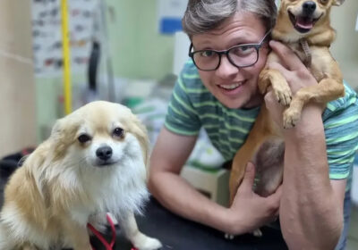 vet-ambulanta-petman-001