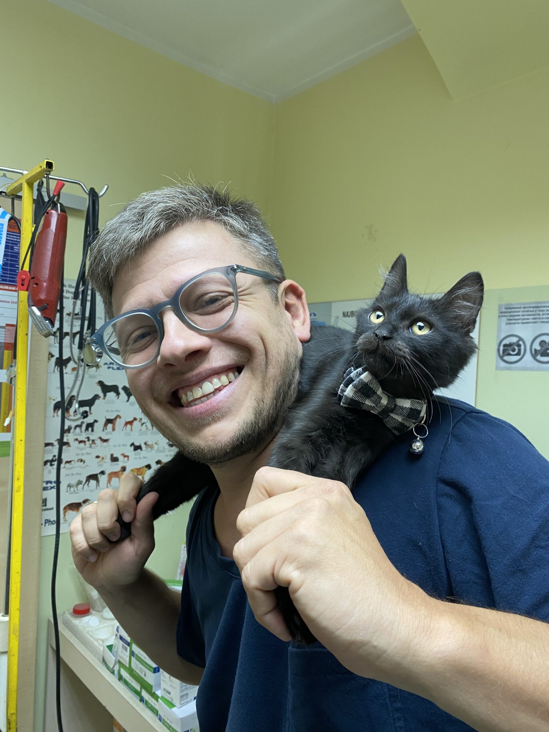 vet-ambulanta-petman-002