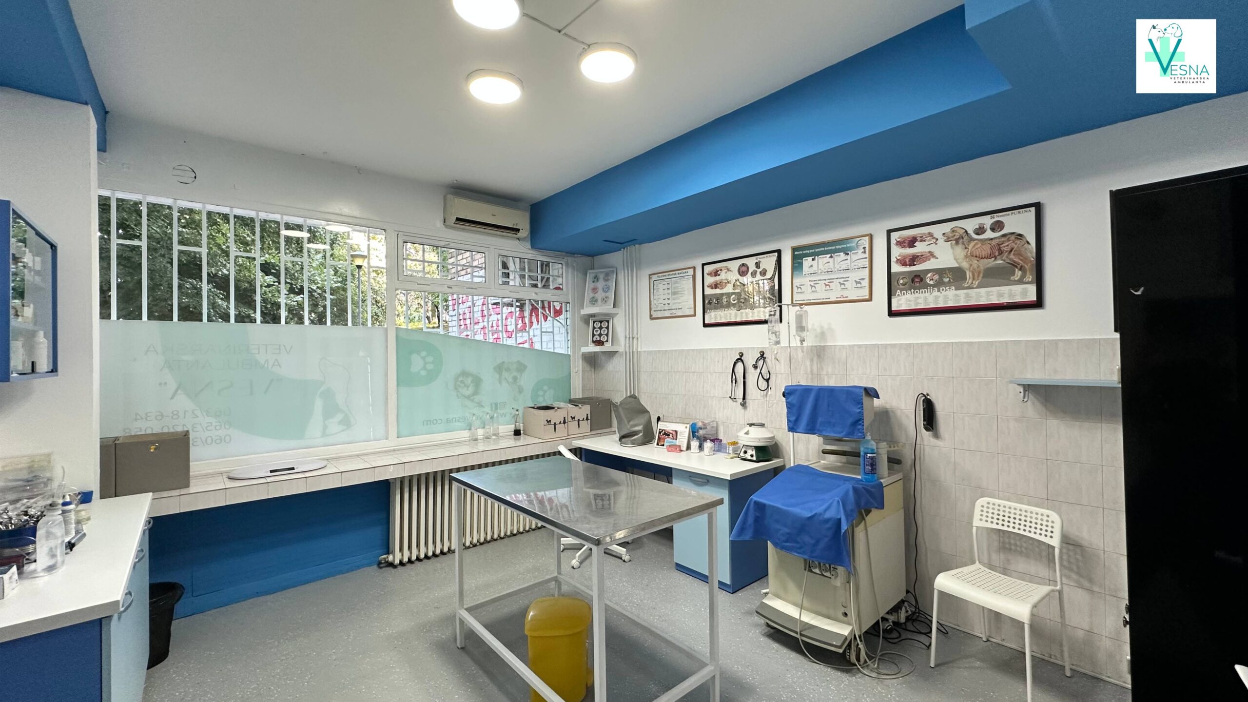 vet-ambulanta-vesna-01