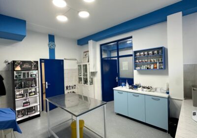 vet-ambulanta-vesna-05
