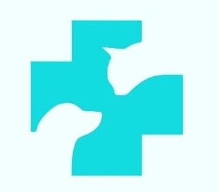BSPSA_logo-1